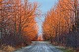 Late Autumn Backroad_02414